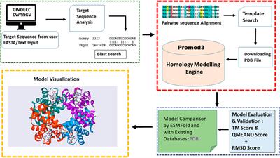 Prostruc: an open-source tool for 3D structure prediction using homology modeling